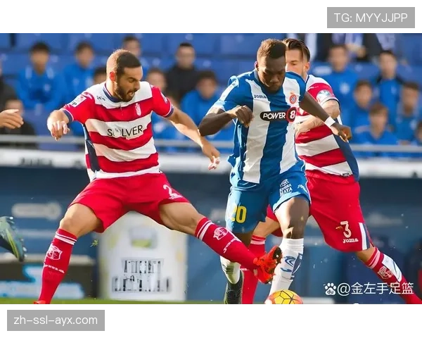 夏季转会窗展望：受新财政政策影响，意甲预计消费总额将下降